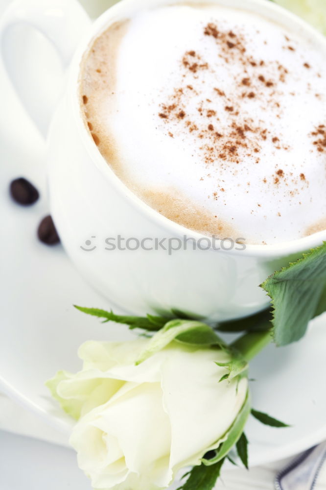 Similar – Image, Stock Photo Cup with coffee Breakfast