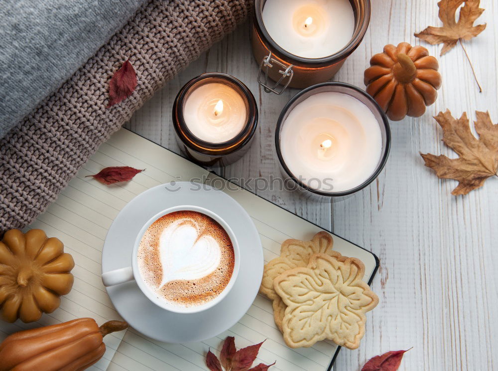 Similar – Image, Stock Photo cozy winter or autumn morning at home