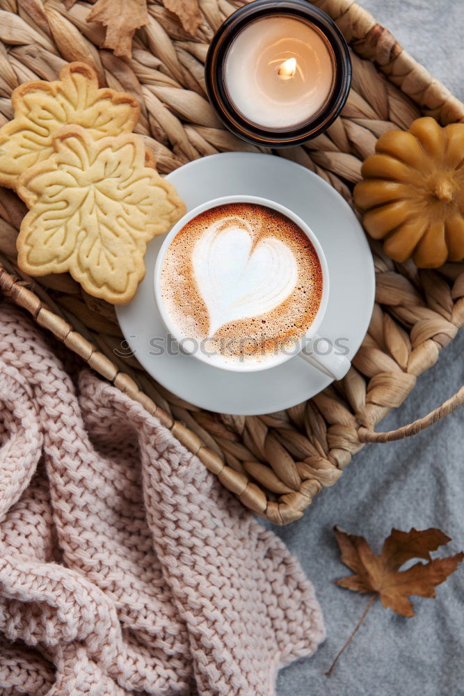 Similar – Image, Stock Photo Cozy winter morning at home. Hot tea with lemon