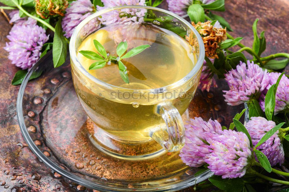 Similar – Image, Stock Photo Herbal tea and spring tulip