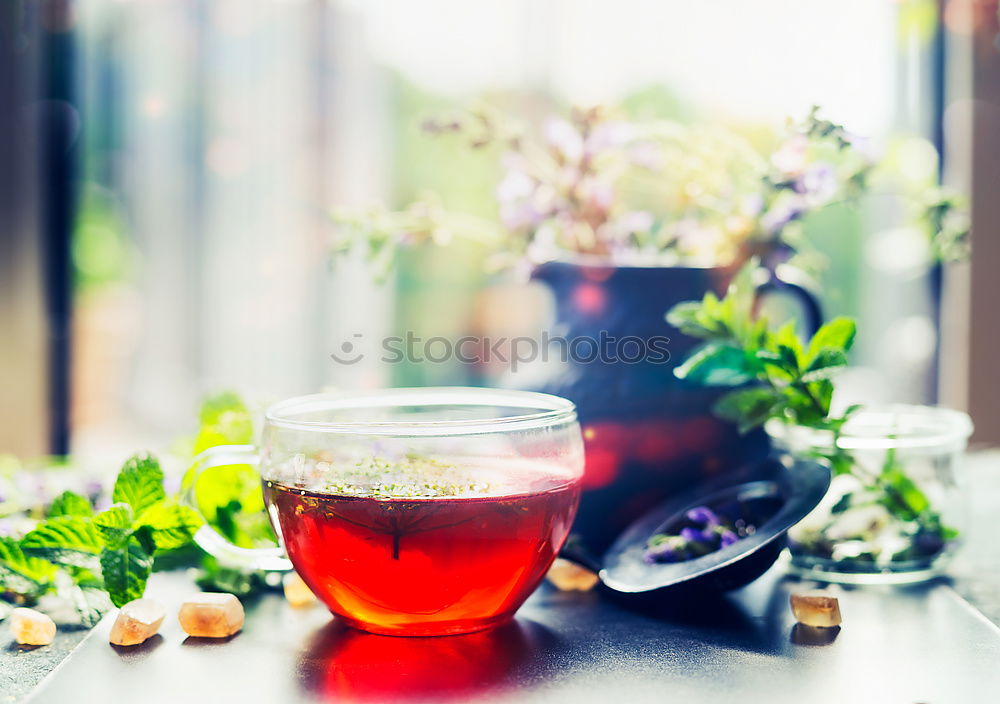 Similar – Image, Stock Photo Cup with hot herbal tea at window