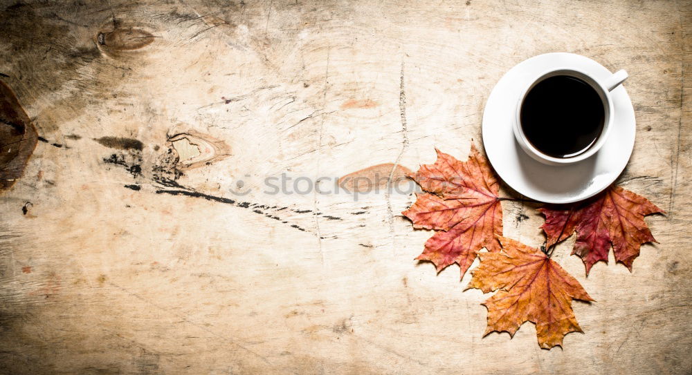 Similar – Tea cup with heart and falling colorful autumn leaves