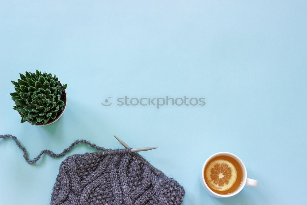 Similar – Image, Stock Photo Creative layout made of Christmas decorations.