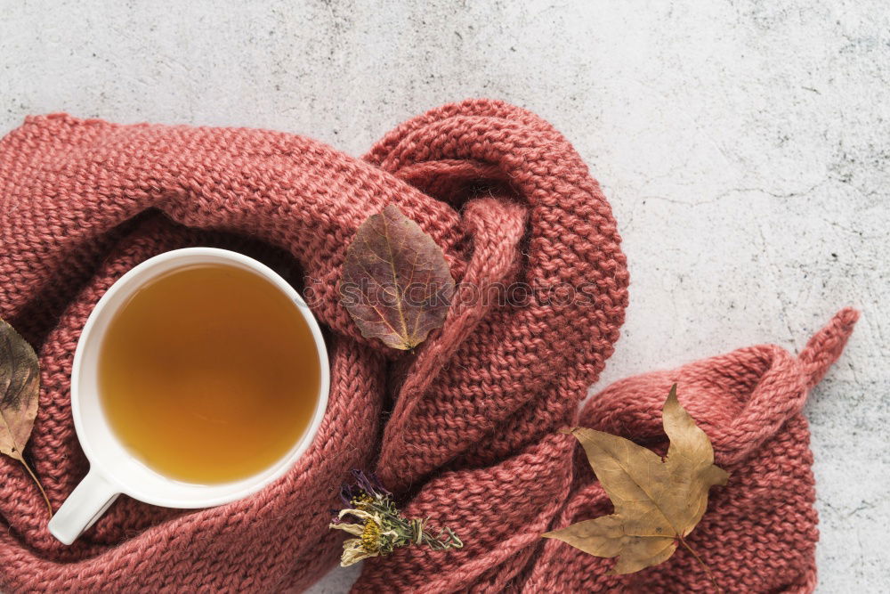 Similar – Image, Stock Photo cup of tea, maple leaves, key with blank label, warm clothes