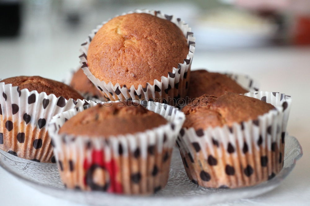 Similar – Image, Stock Photo muffins Muffin Plate Wood