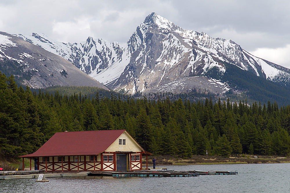 Similar – Image, Stock Photo Trash 2018 in front of the cabin!