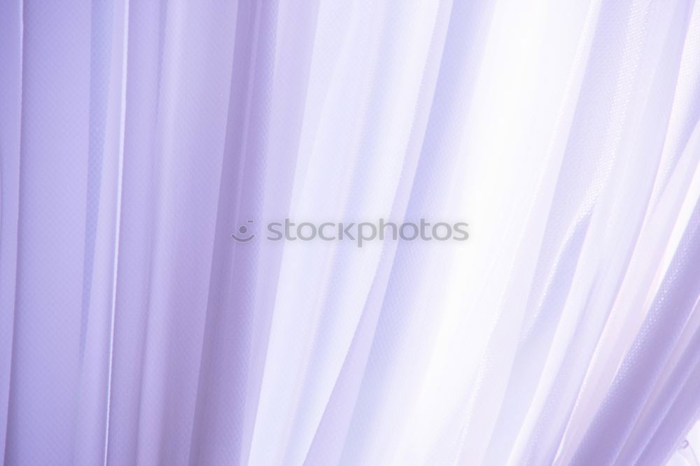 Similar – Image, Stock Photo flower curtains