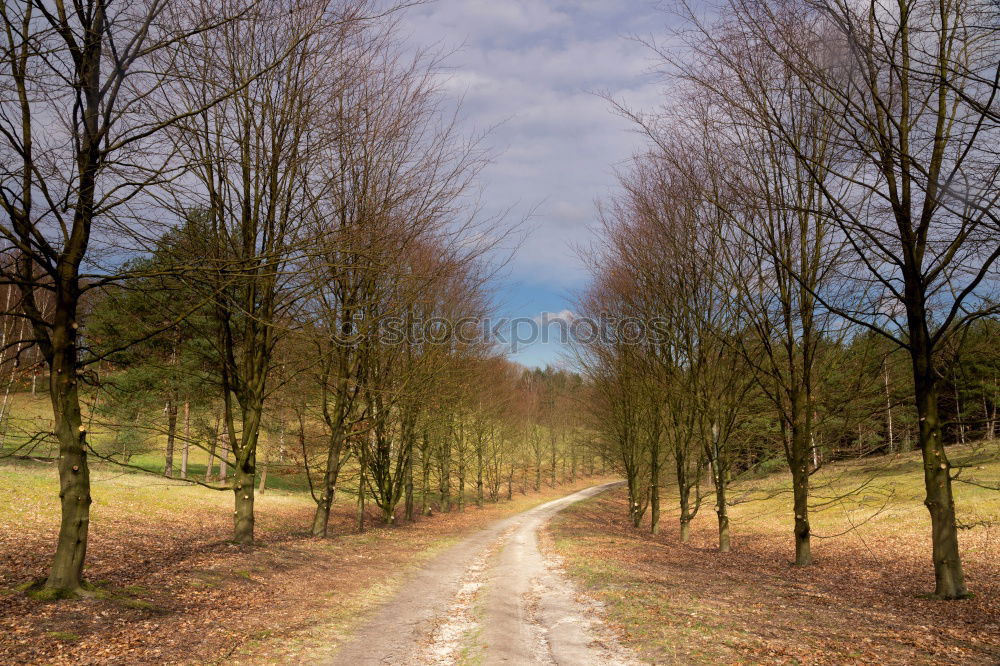 Similar – Image, Stock Photo forest path Well-being