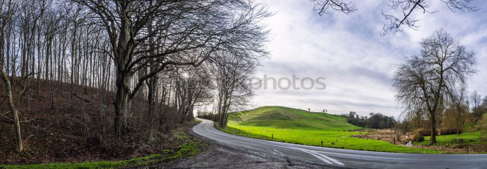 Similar – Winding paths with cypress trees between the green fields.