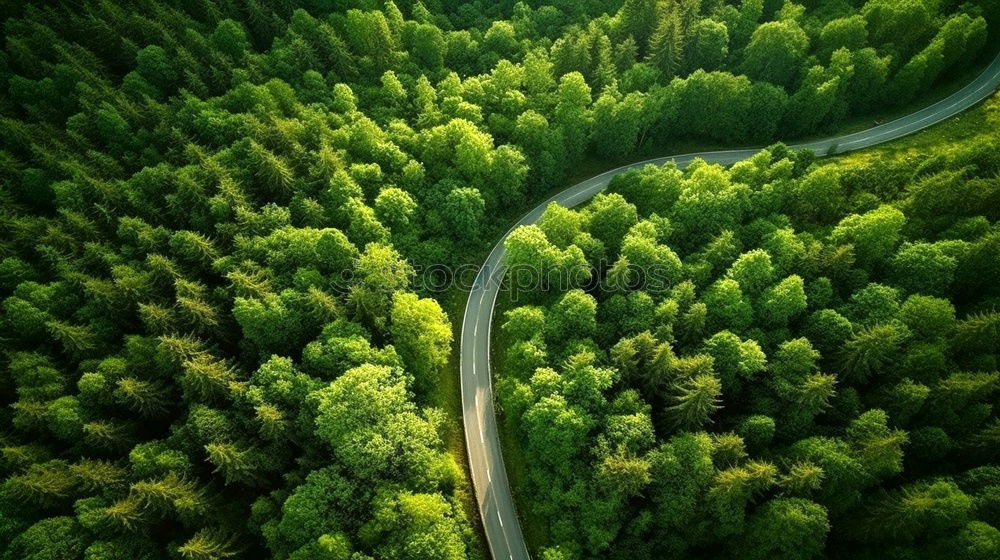 Similar – Eine kurvenreiche Straße von oben, die durch einen grünen Wald führt. Drohne Schuss für Tapeten, von oben nach unten von oben Luftaufnahme im Spätsommer.