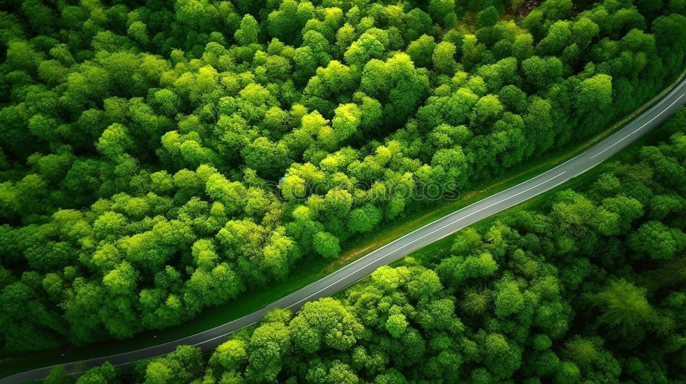 Similar – Image, Stock Photo It’s a road. Environment
