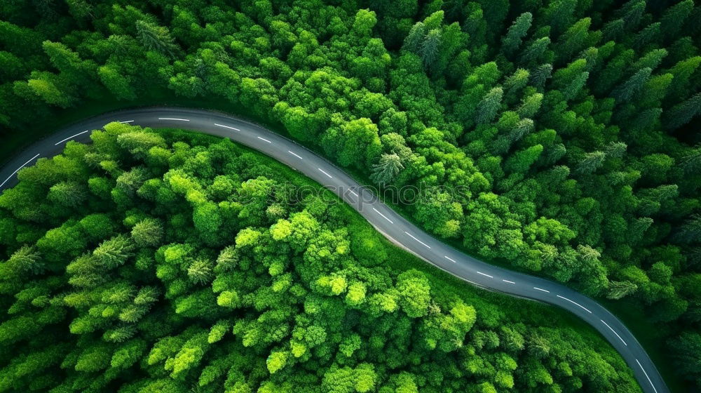 Similar – Eine kurvenreiche Straße von oben, die durch einen grünen Wald führt. Drohne Schuss für Tapeten, von oben nach unten von oben Luftaufnahme im Spätsommer.