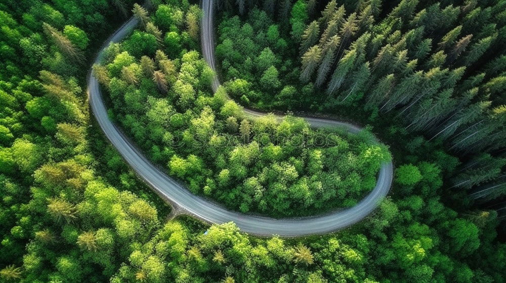 Similar – Eine kurvenreiche Straße von oben, die durch einen grünen Wald führt. Drohne Schuss für Tapeten, von oben nach unten von oben Luftaufnahme im Spätsommer.