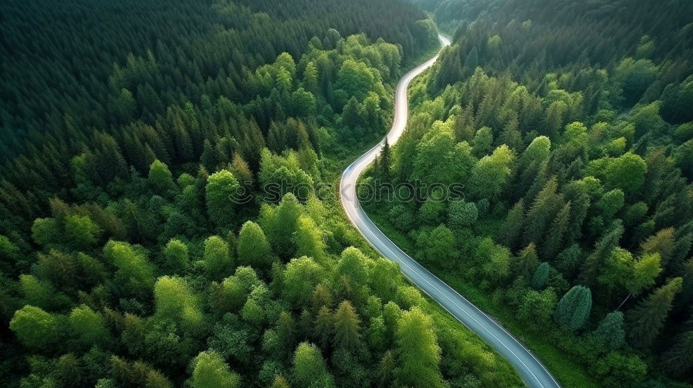 Similar – Image, Stock Photo Road in the forest from the air drone sunset