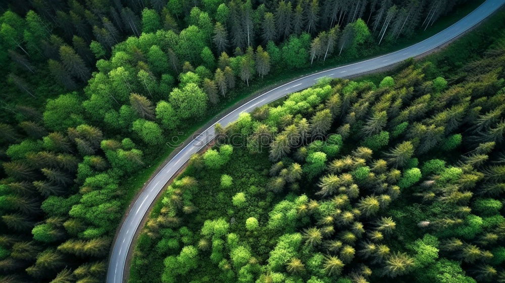 Similar – Image, Stock Photo Road in the forest from the air drone sunset