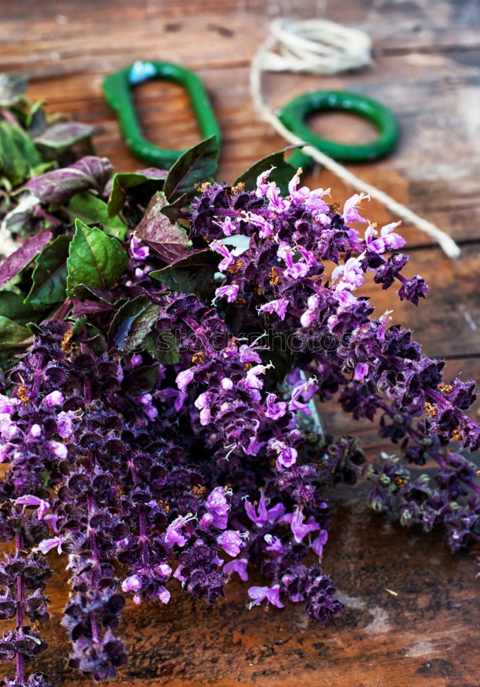 Similar – Gift and bouquet of lilacs on a wooden table