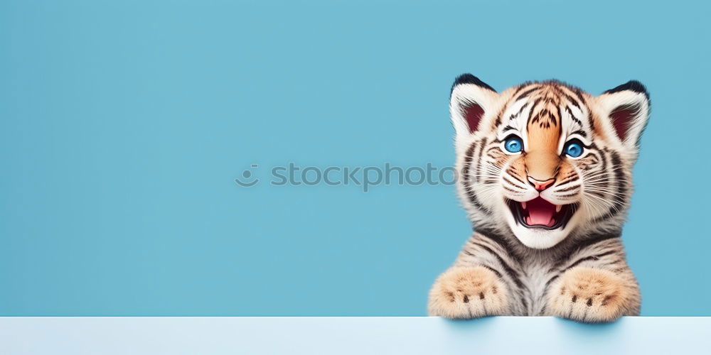 Similar – Foto Bild pixeltiger III Tiger Zoo