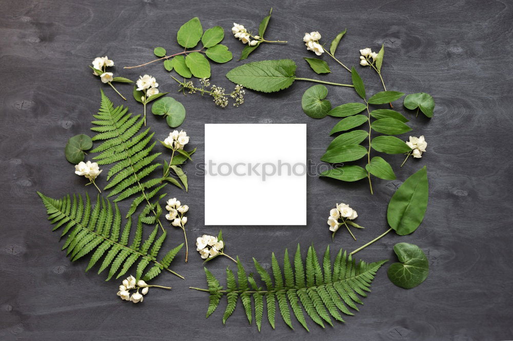 Similar – Image, Stock Photo I have no idea! A blank piece of paper with a pen and a vase of flowers on a wooden table