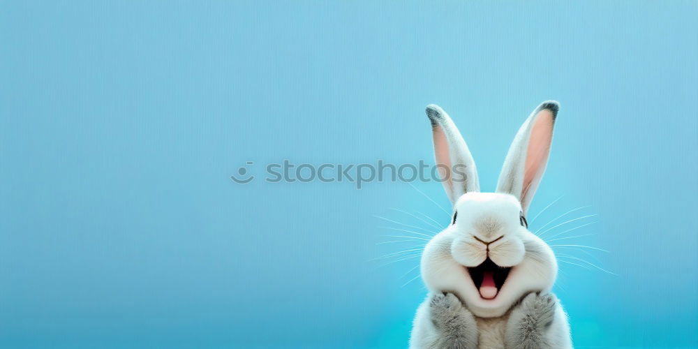 Similar – Image, Stock Photo bunny style Art
