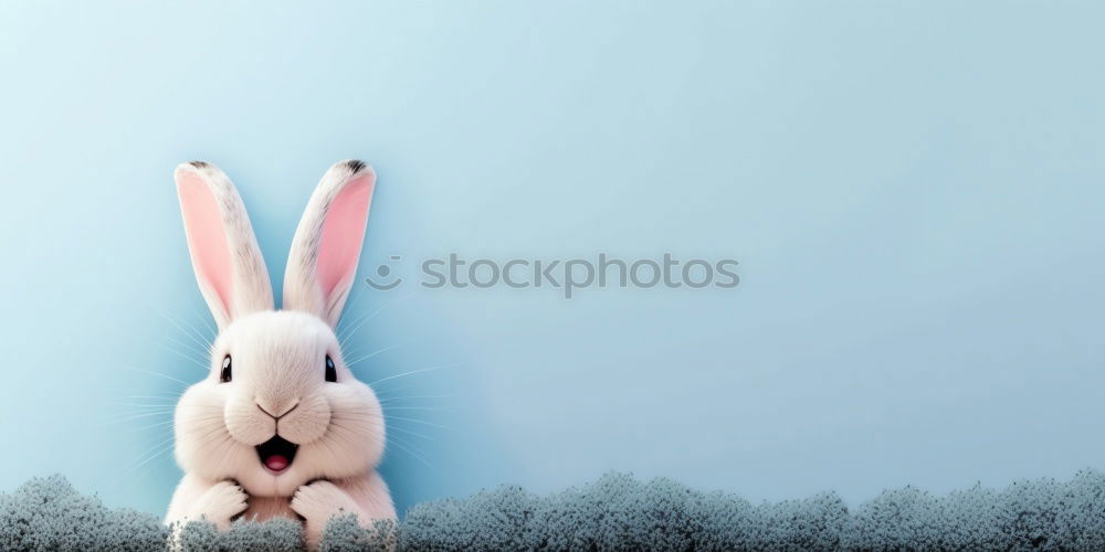 Image, Stock Photo bunny style Art