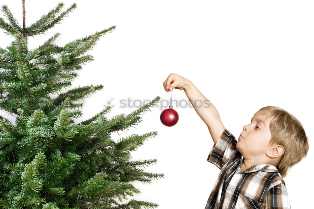 Similar – Image, Stock Photo Young girl decorating Christmas tree with lights at home