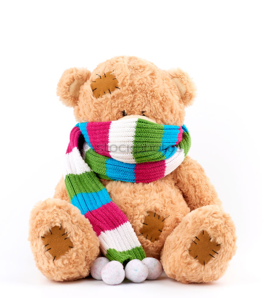 Similar – Image, Stock Photo teddy bear in a knitted multi-colored scarf