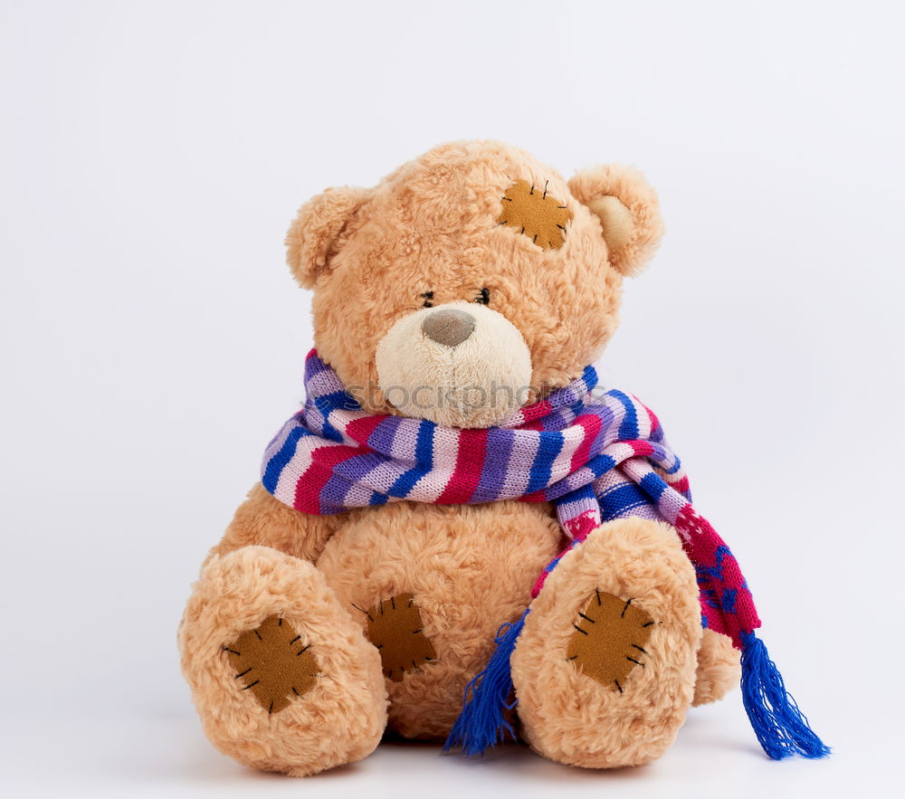 Similar – Image, Stock Photo Teddy Per in Iceland (2)