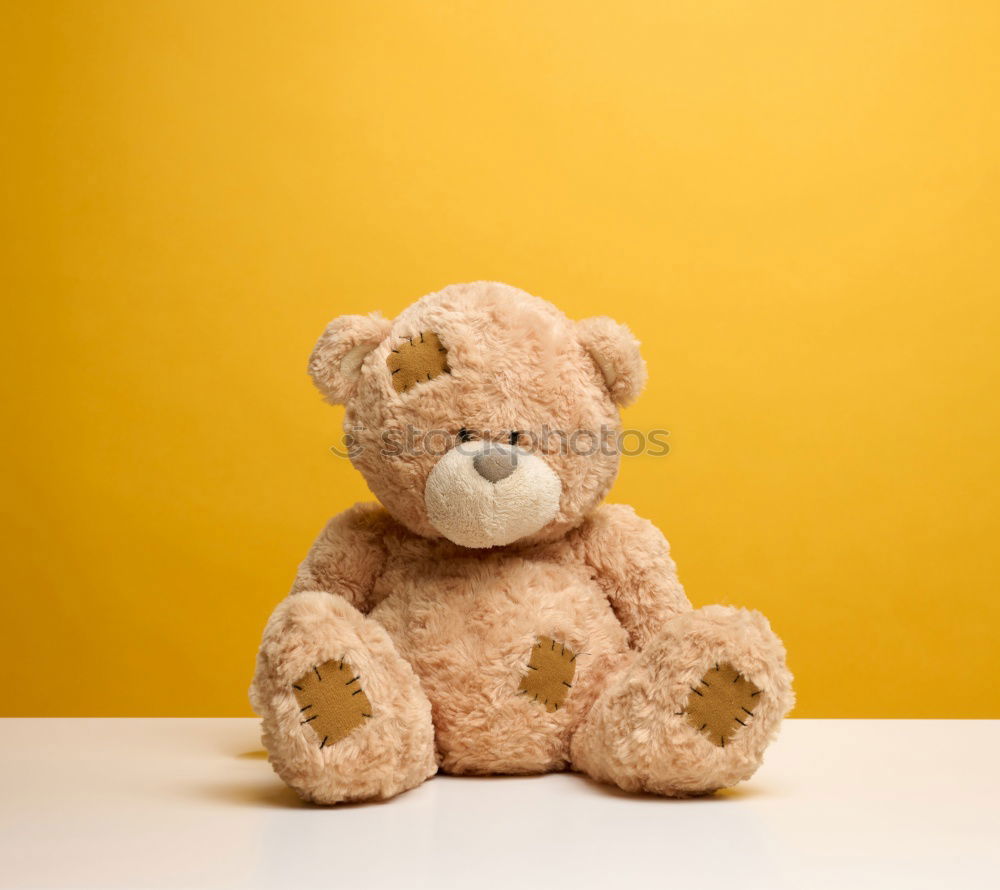 Stuffed teddy bear toy in a shopping bag with blank tag