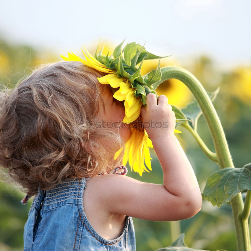 Similar – Image, Stock Photo girl who carries a branch for a walk | chamois brawn