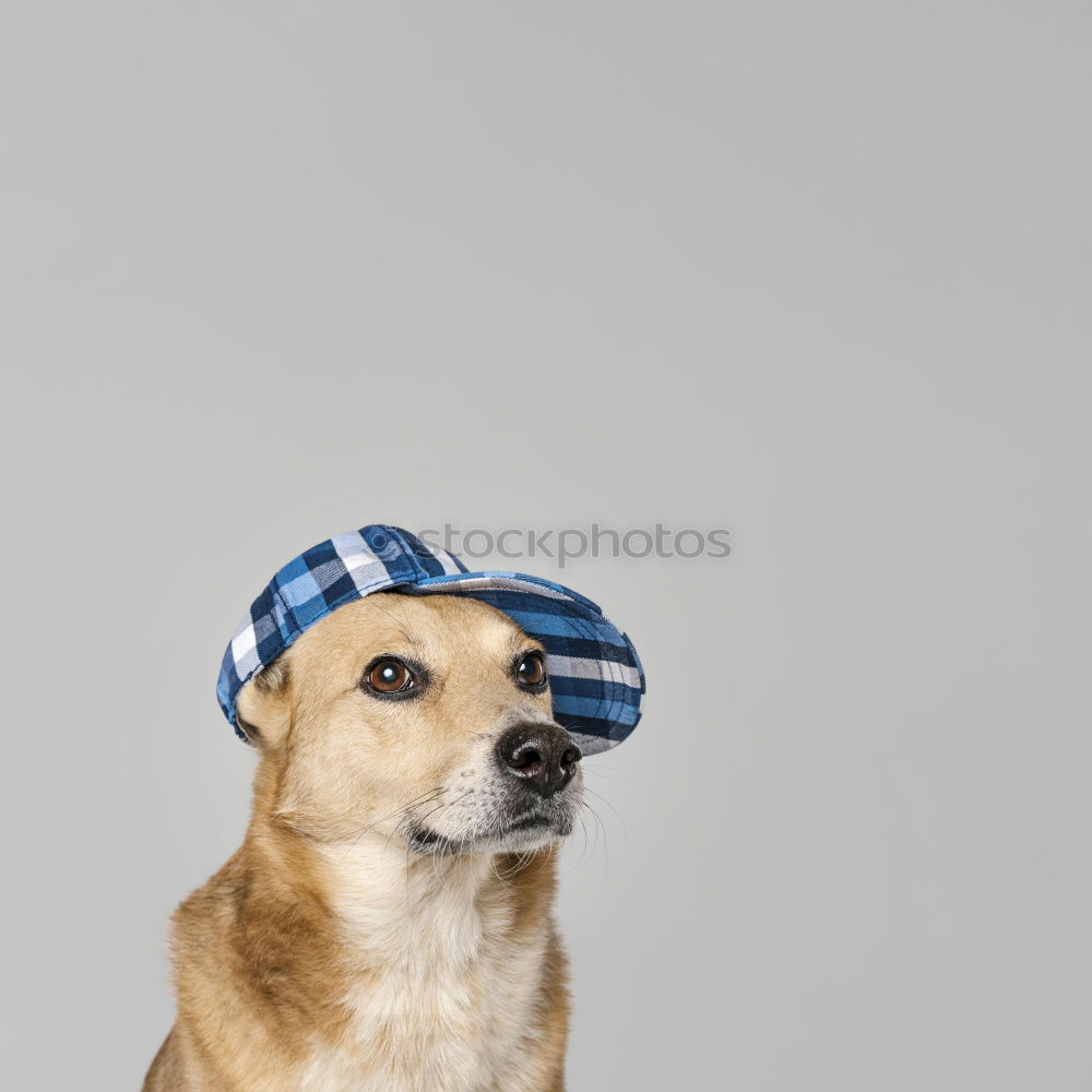 Similar – Image, Stock Photo Funny old woman with headscarf