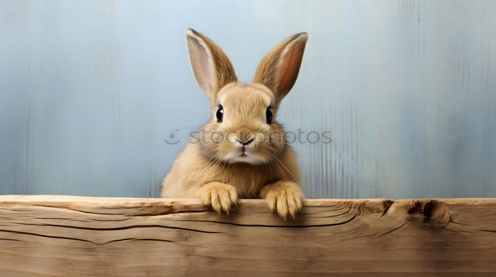 Similar – Image, Stock Photo leckaaaaaaaa Easter Straw