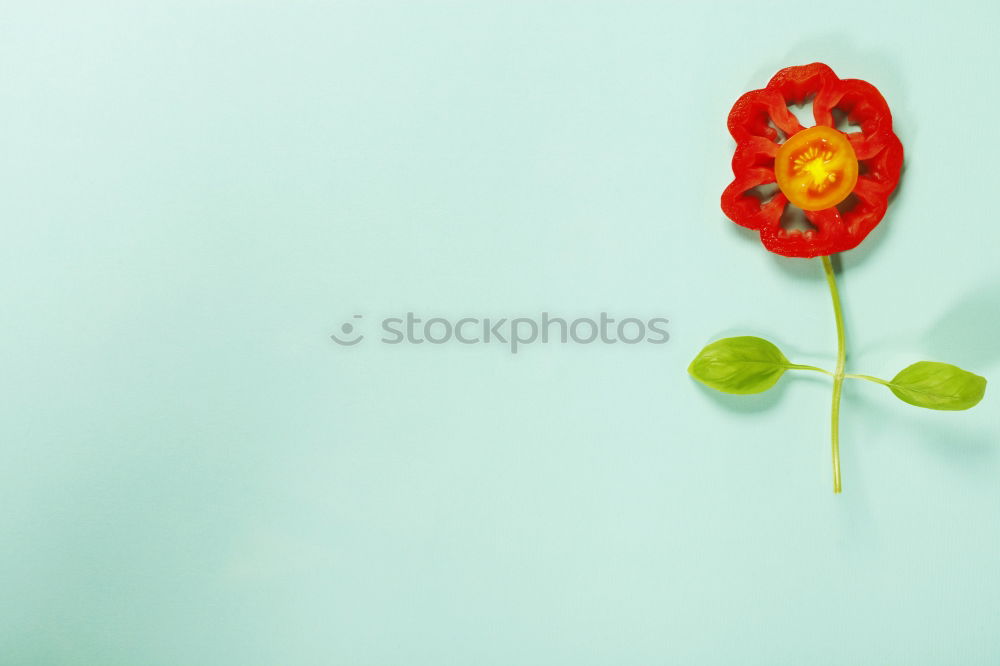 Similar – Image, Stock Photo Creative layout made of Christmas decorations.