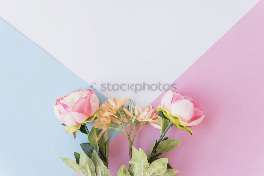 Similar – Beautiful flowers, with empty greeting card