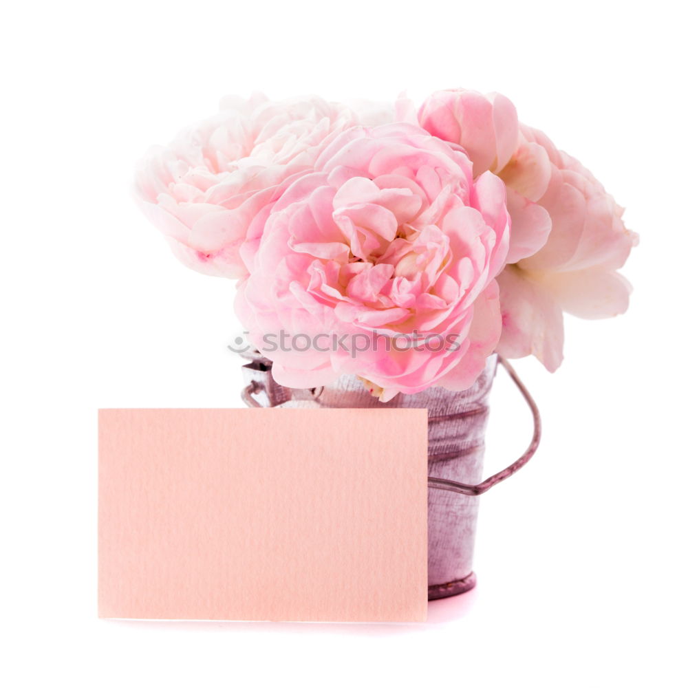 Similar – Composition of pink accessories to female holidays: Mothers day , Womens day, birthday or wedding. Paper shopping bag with flowers,paper, party fan and ribbon on white background, top view