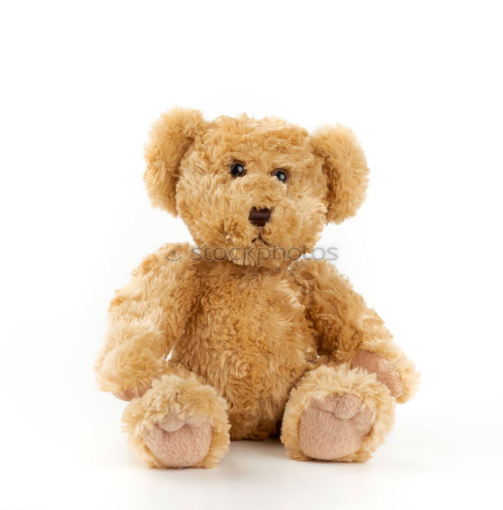 Similar – Image, Stock Photo teddy bear in a knitted multi-colored scarf