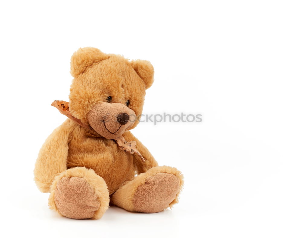 Similar – old teddy bear hanging on a clothesline