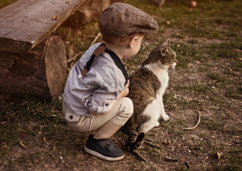 Similar – Foto Bild katzen und kinder .. Kind