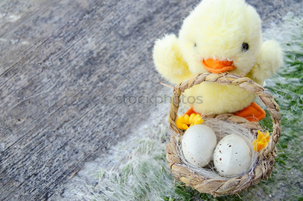 Similar – Image, Stock Photo Off to the nest Easter