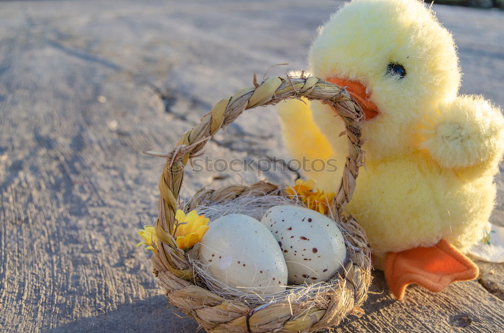 Similar – Image, Stock Photo Off to the nest Easter