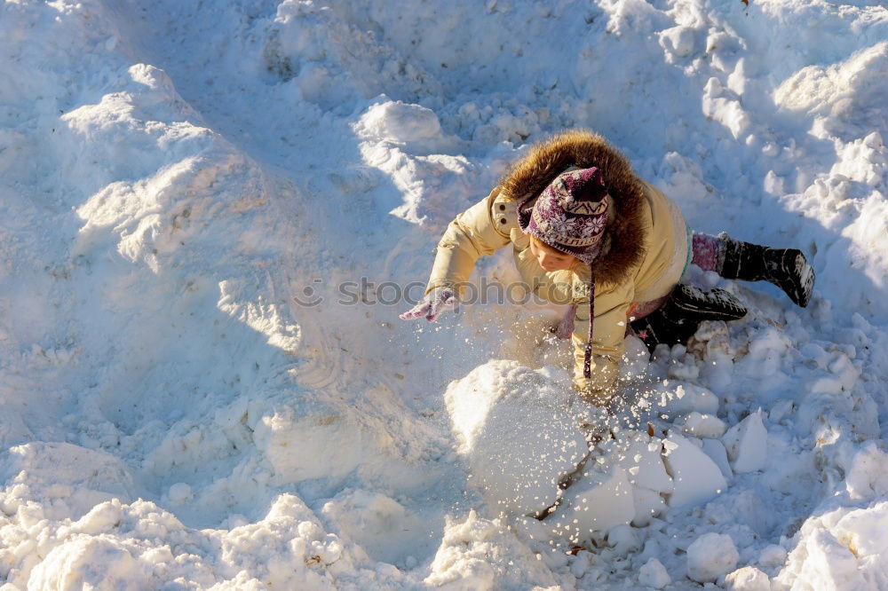 Similar – bear hunting Polar Bear