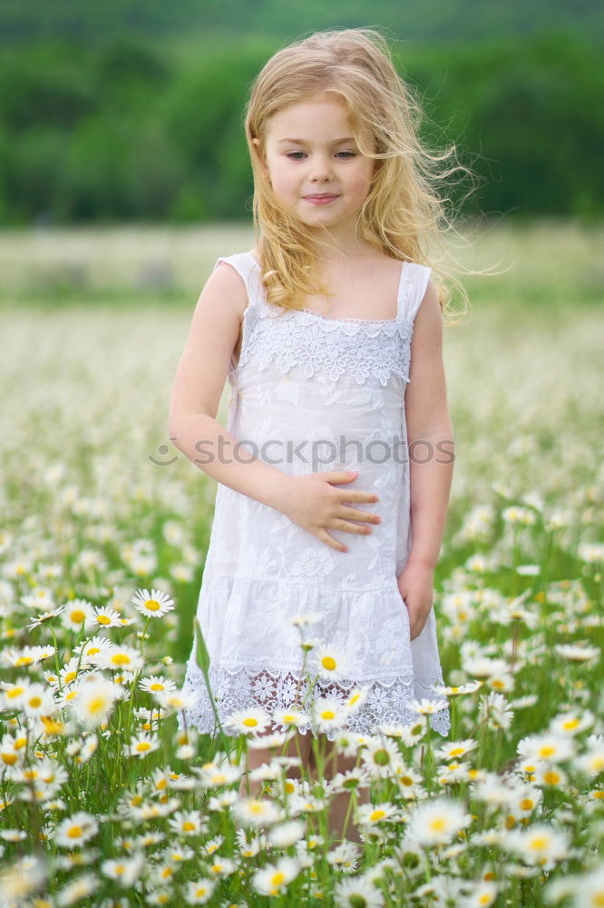 Similar – flower girl Gänseblümchen