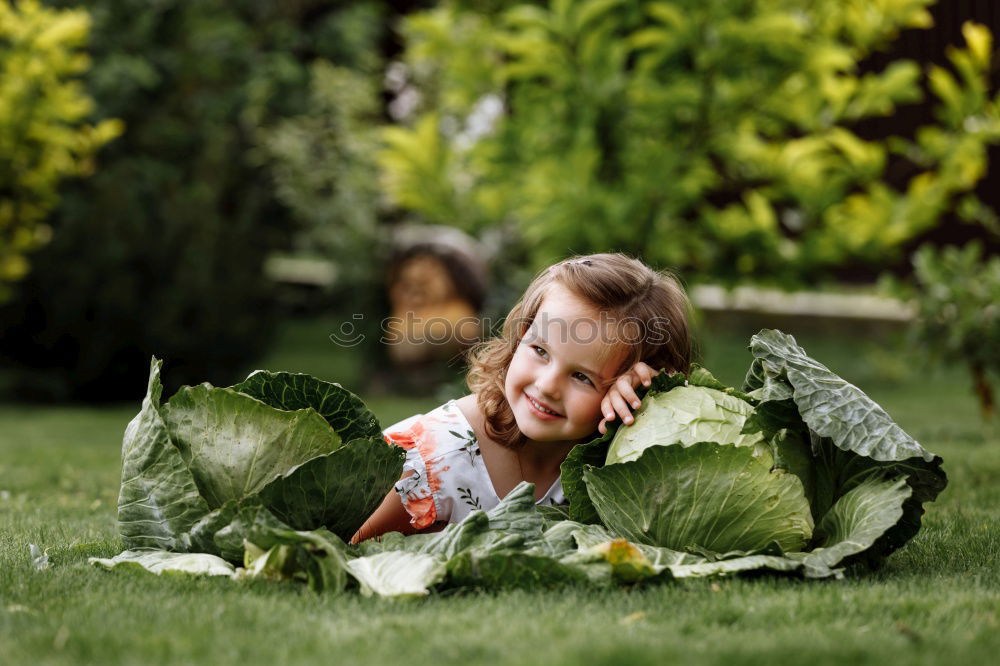 Similar – Image, Stock Photo contrasts Child Girl Dress