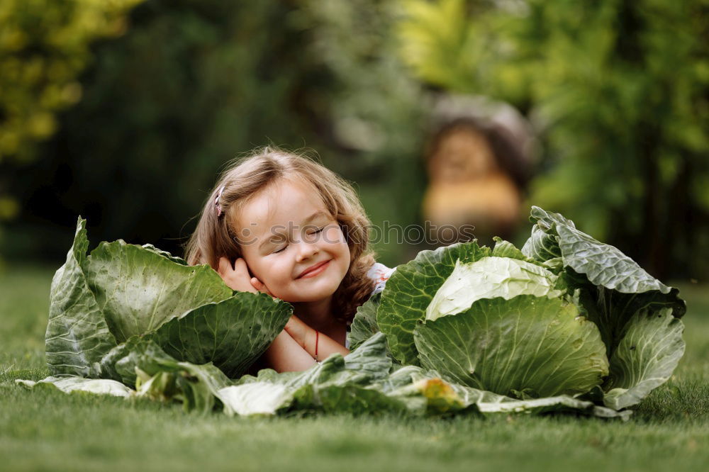 Similar – Image, Stock Photo Mary peonies Lifestyle Joy