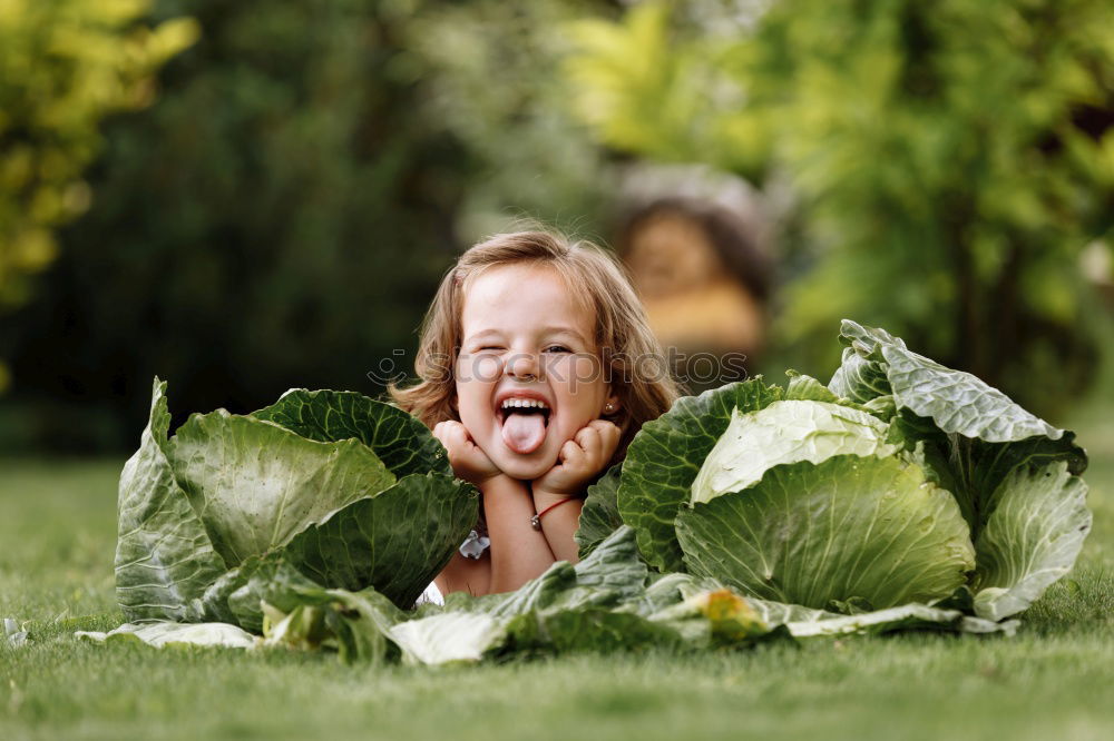 Similar – Image, Stock Photo winking and peonies