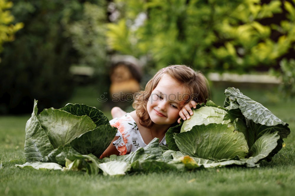 Similar – Image, Stock Photo winking and peonies