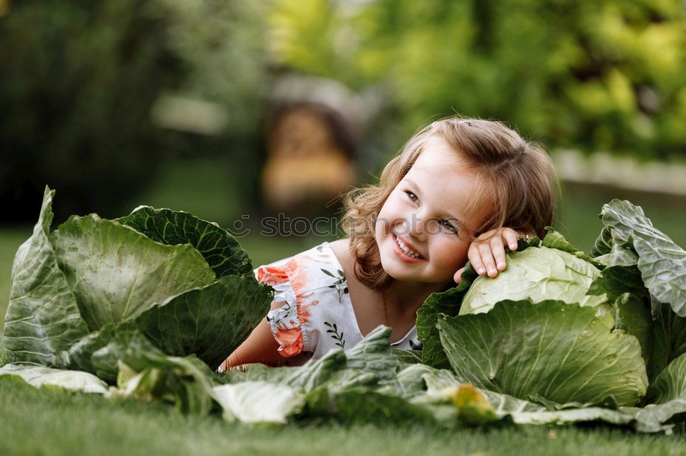 Similar – Image, Stock Photo Mary peonies Lifestyle Joy