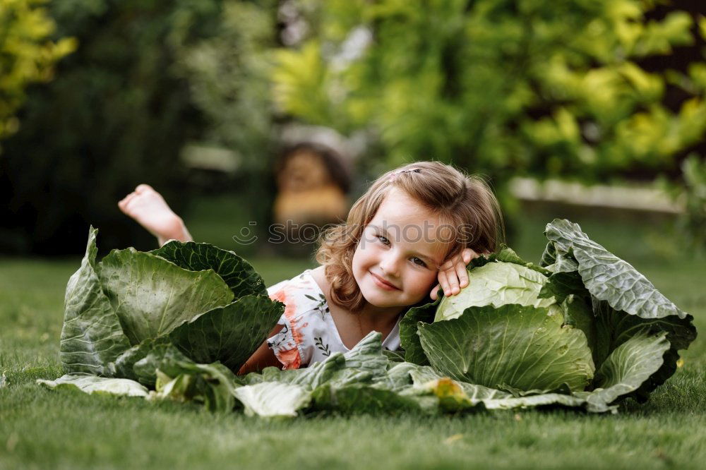 Similar – Image, Stock Photo Mary peonies Lifestyle Joy