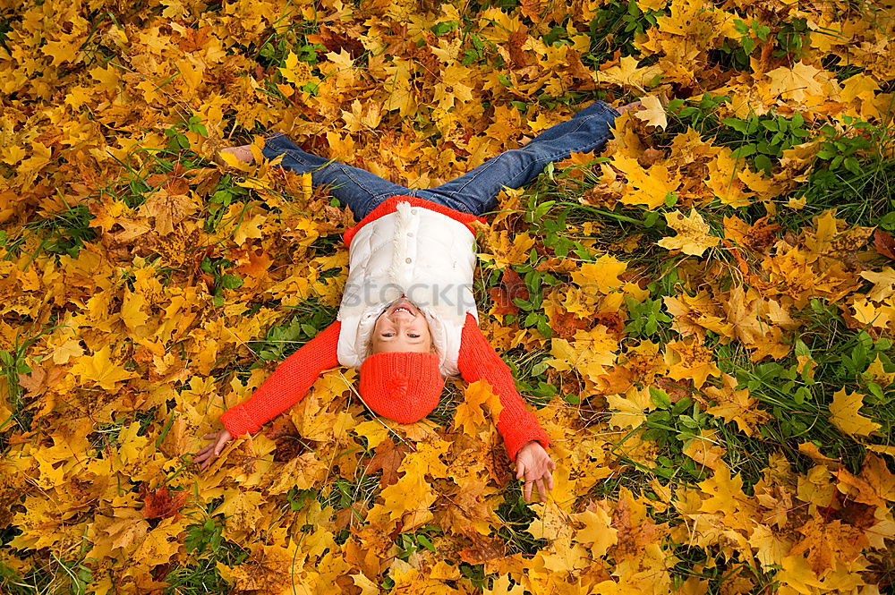 Similar – Image, Stock Photo autumn games Lifestyle