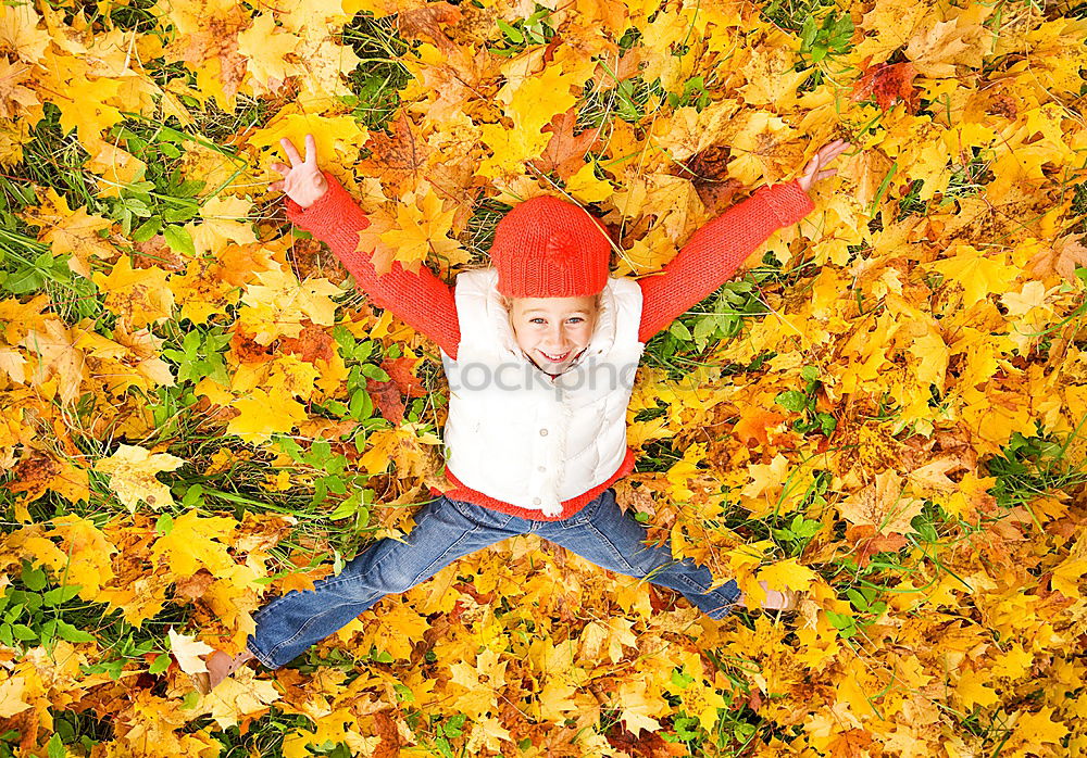 Image, Stock Photo autumn games Lifestyle