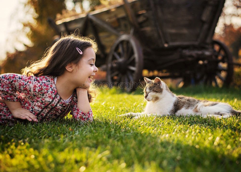 Similar – Image, Stock Photo happy child girl enjoying summer vacations with her dog